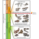 Image for article titled "Colossally Poor Timing" of Asteroid Caused Dinosaur Extinction